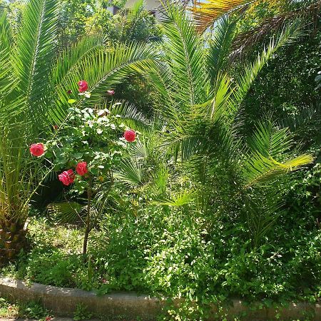 Willa Quiet House Garden Naples-Pompei-Sorrento Trecase Zewnętrze zdjęcie