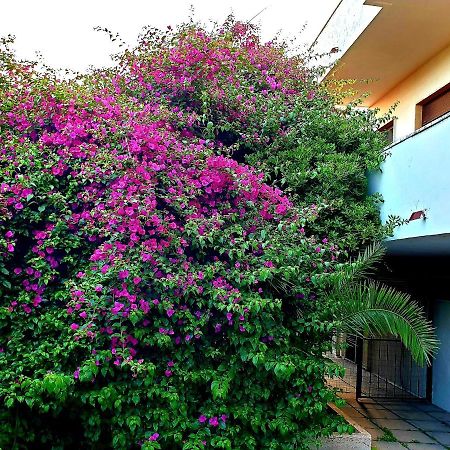 Willa Quiet House Garden Naples-Pompei-Sorrento Trecase Zewnętrze zdjęcie