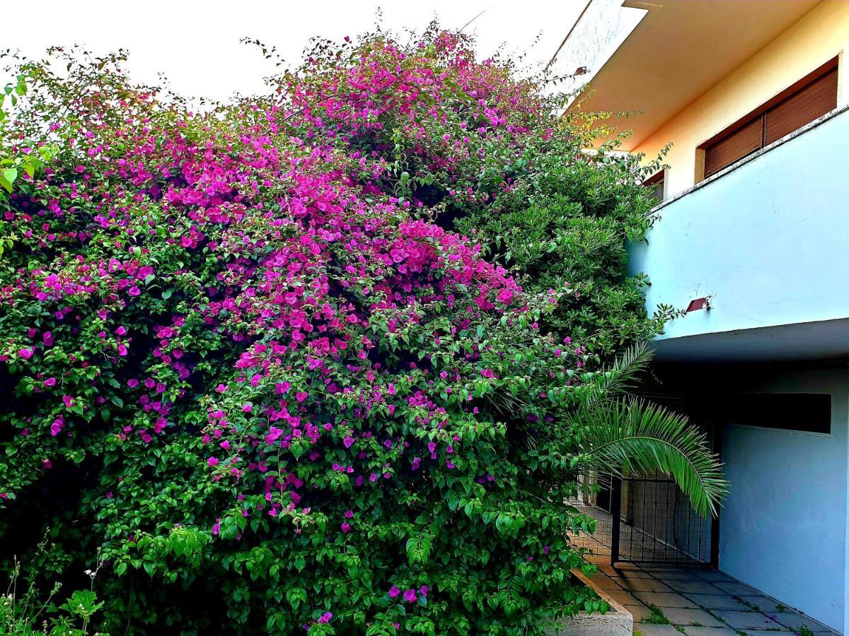 Willa Quiet House Garden Naples-Pompei-Sorrento Trecase Zewnętrze zdjęcie